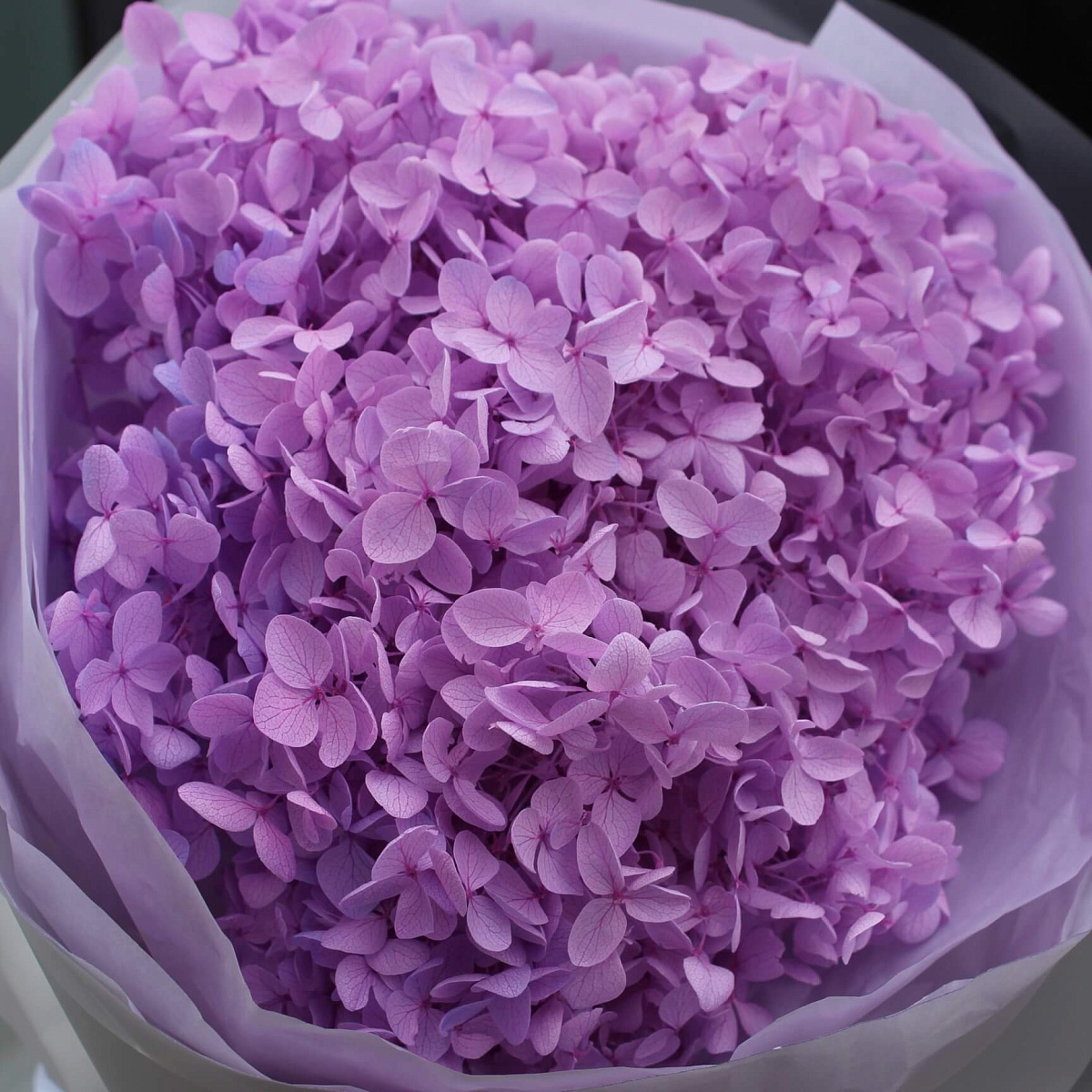 Яркий букет из сухоцветов