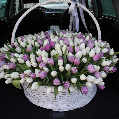Корзины с цветами: 351 тюльпан в корзине VIP