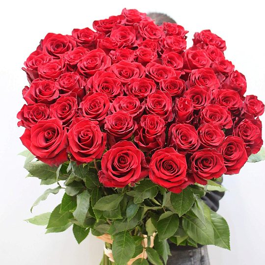 Цветы на 14 февраля: Букет из 51 розы Explorer 1 метр