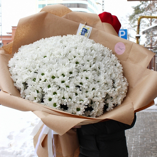 Цветы на 14 февраля: Букет из 51 ветки ромашковой хризантемы