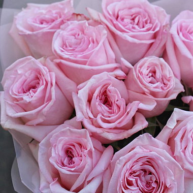 11 роз Pink O'Hara
