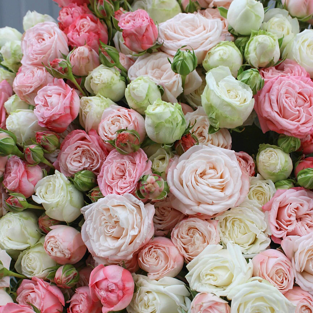 Дорогие букеты : Стильный микс из пионовидных роз