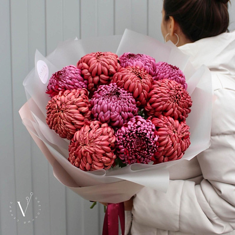 Микс хризантем Бигуди - изображение 2