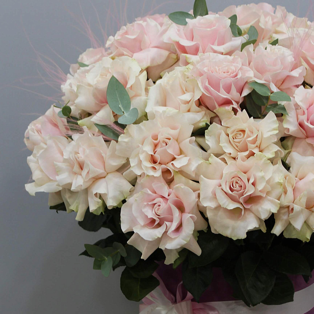 Цветы: композиция из 51 французской розы мондиаль в цилиндре