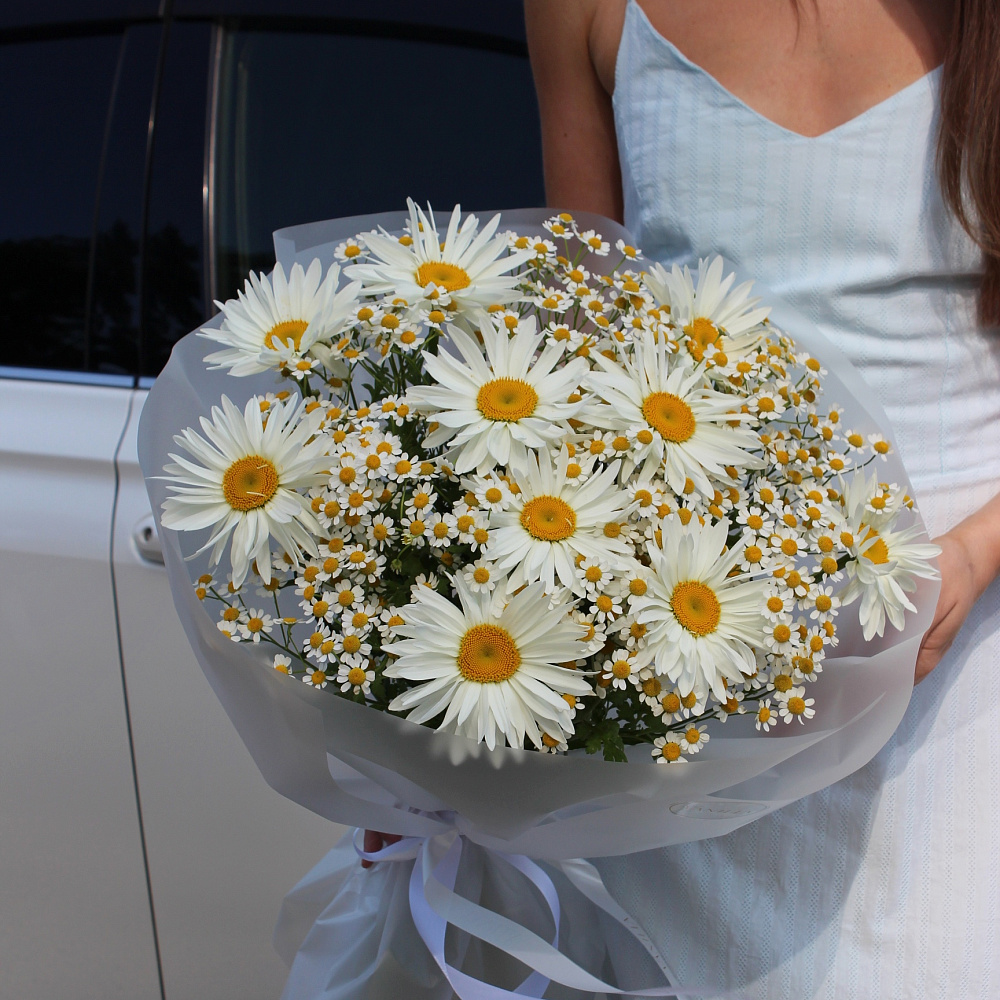 Микс ромашек "Лето"