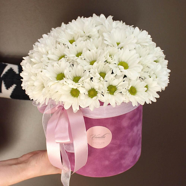 Белоснежные хризантемы в бархатном цилиндре - изображение 2