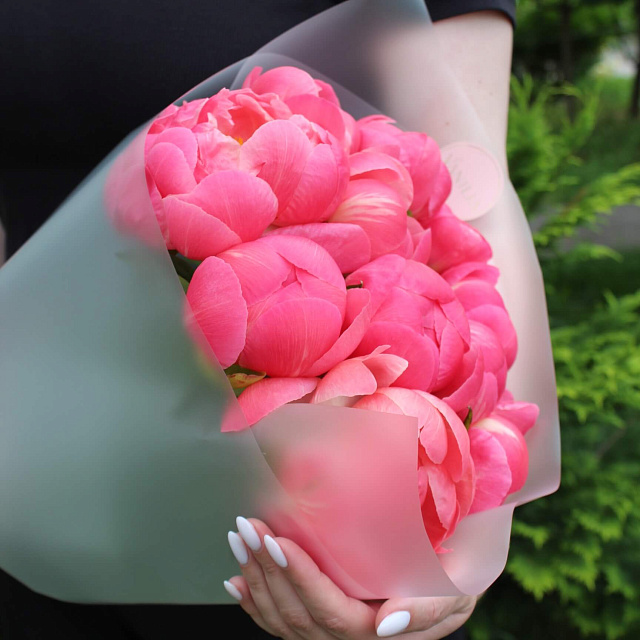 Цветы: 11 пионов Coral Charm