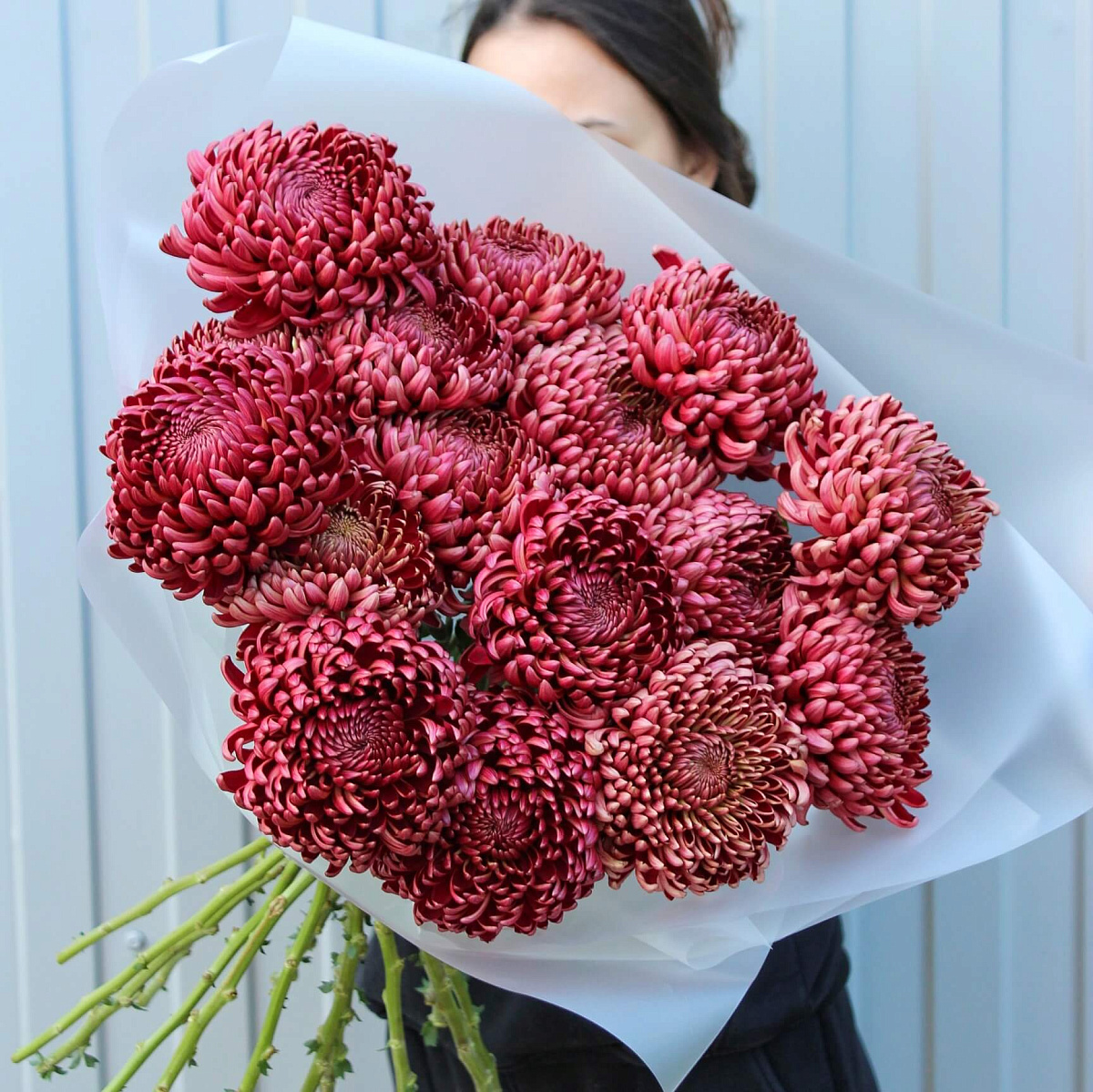 Букет из 15 шоколадных хризантем Бигуди