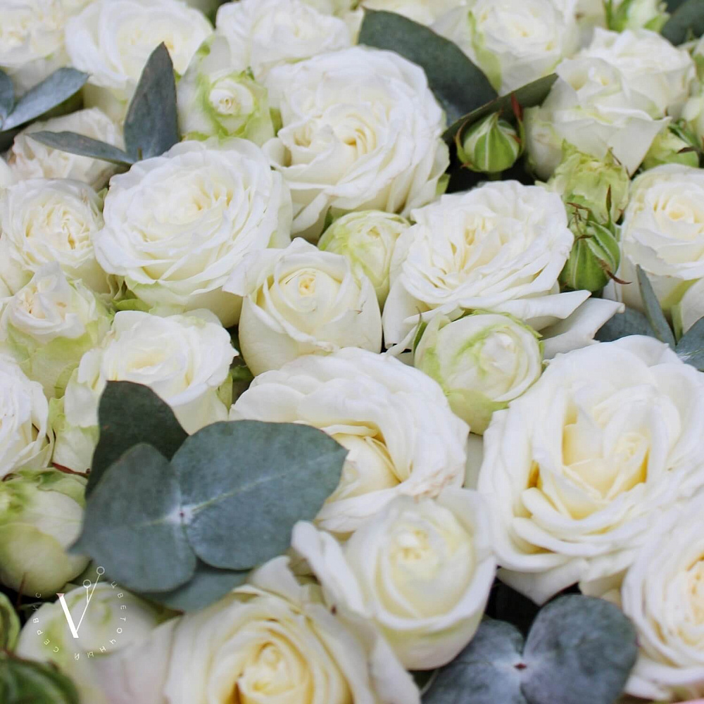 Коробка сердце с пионовидной кустовой розой