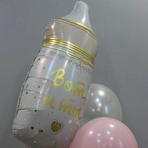 Воздушные шары на выписку из роддома: Сет Шаров на выписку «Девочке»