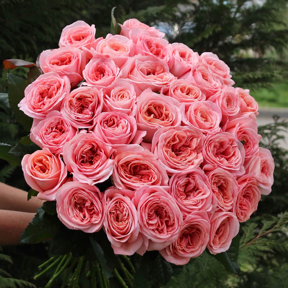 Букет из 35 роз Лондон Ай