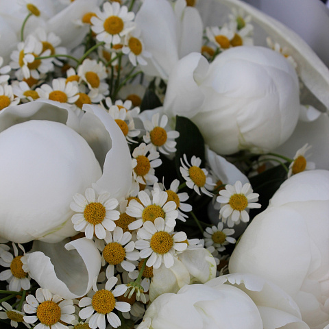 Сборные букеты  : Сборный букет "Пломбир"