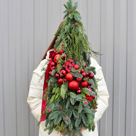 Ель декоративная Нобилис - изображение 2