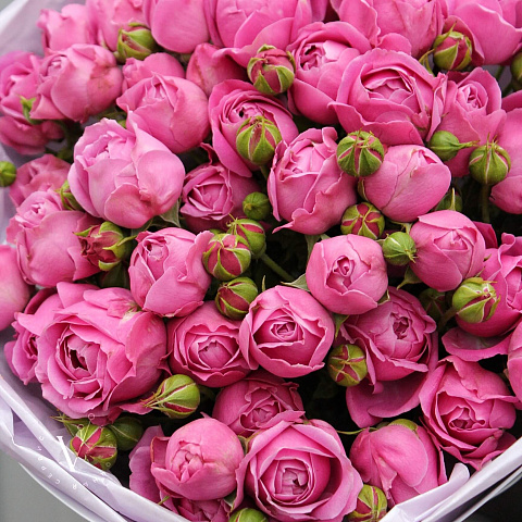 Букеты из 11 роз : 11 кустовых пионовидных роз в белом оформлении