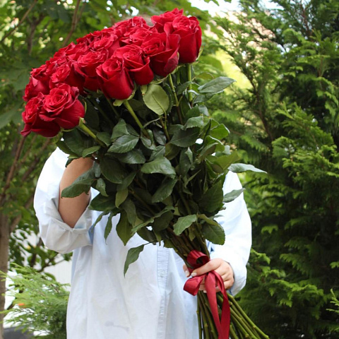 25 метровых голландских роз - изображение 2