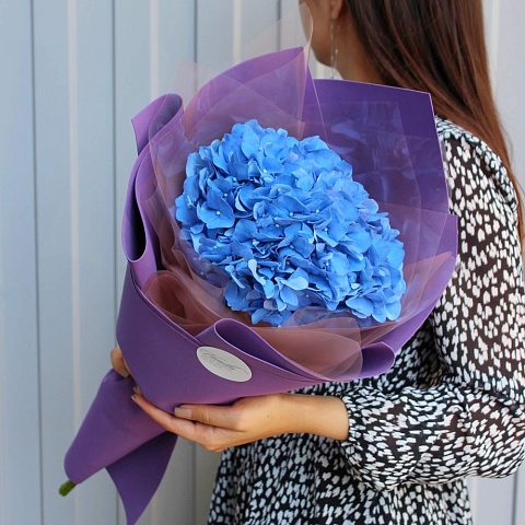 Синяя гортензия - изображение 2