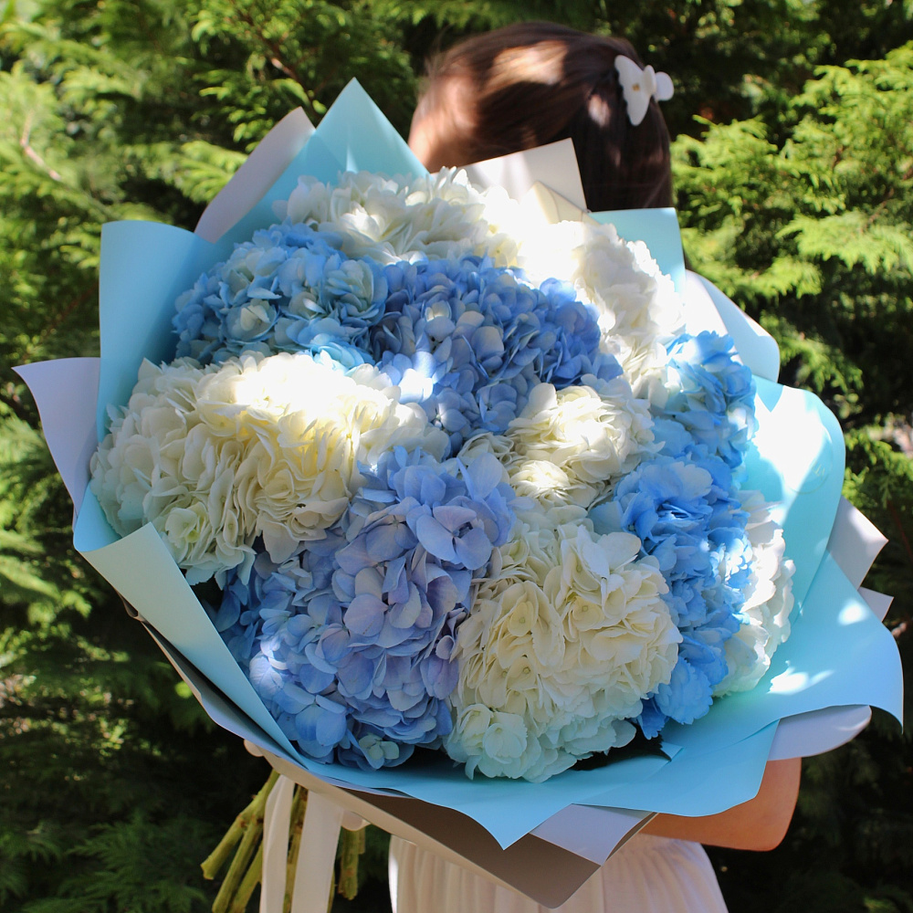 Букет из 11 гортензий в бело-голубой гамме
