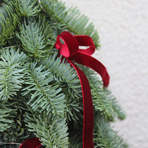 Настольные композиции из цветов: Композиция "Ель декоративная"