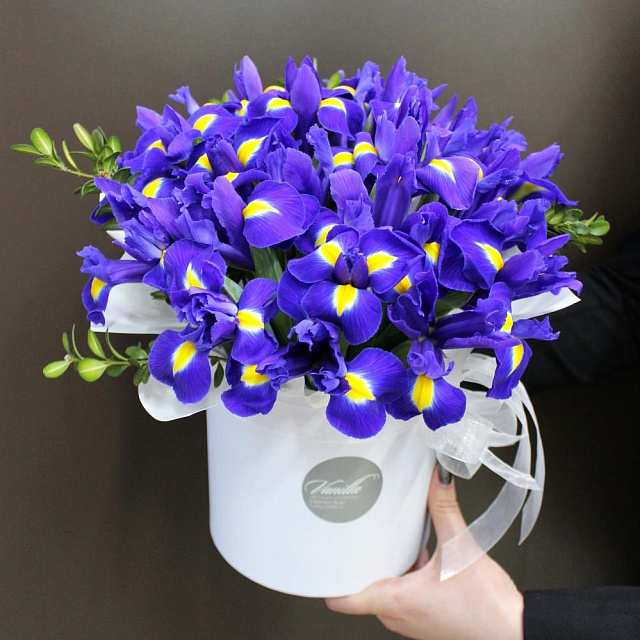 Ирисы в цилиндре - изображение 2