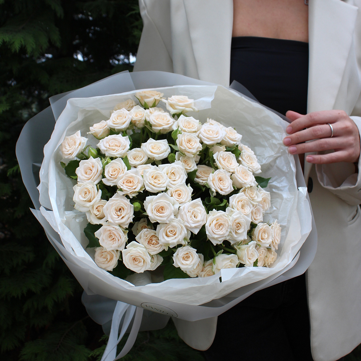 Кремовая роза Яна