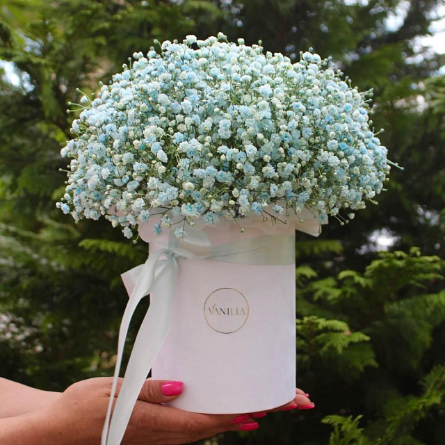 Нежный цилиндр с голубой гипсофилой - изображение 2