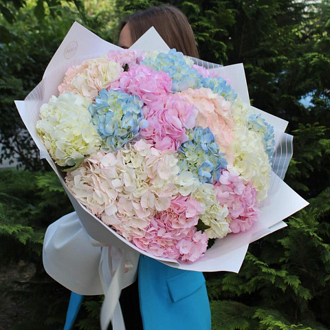 Букет из 19 гортензий микс "Романтика" - изображение 2
