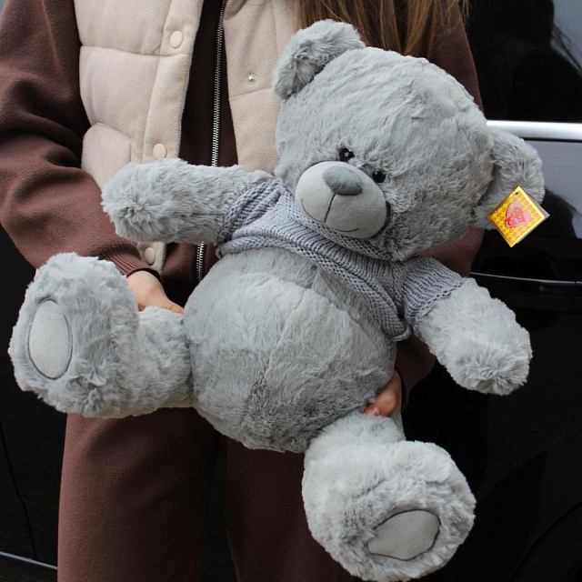 Мишка серый