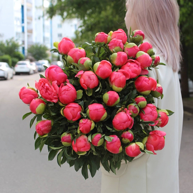 39 местных пионов Корал Шарм - изображение 2