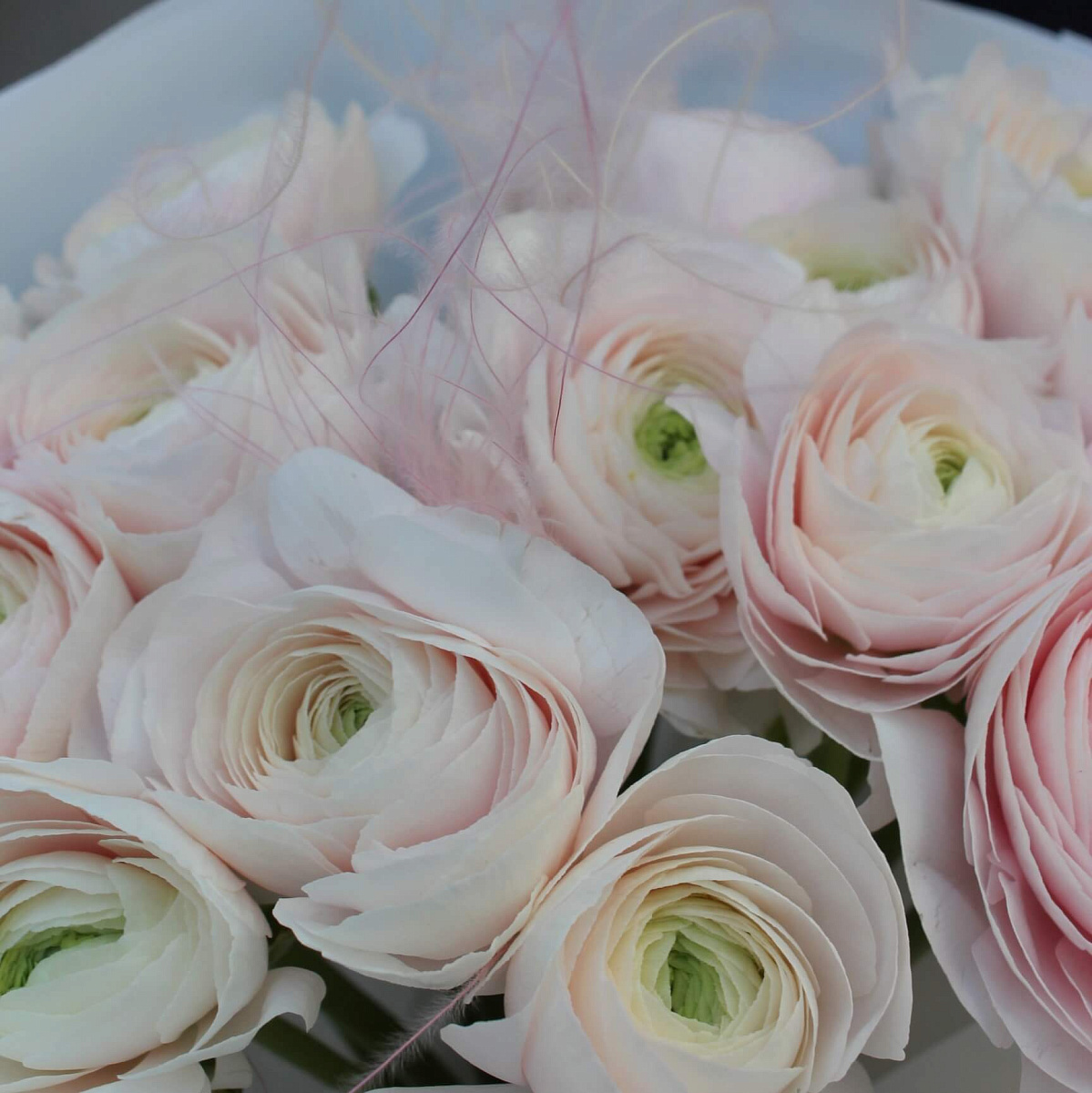 Букет с нежными ранункулюсами