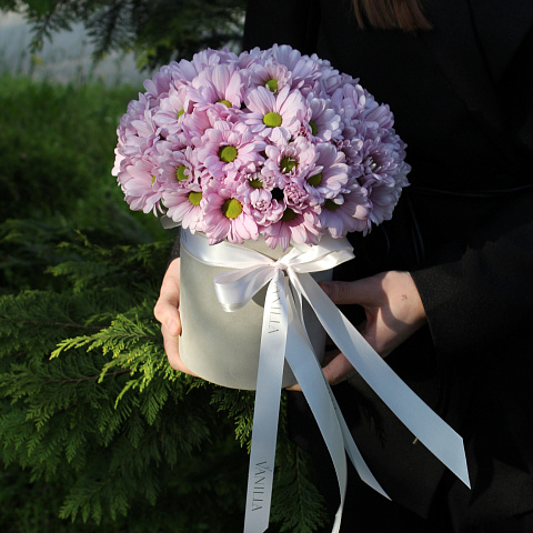 Букеты для ребенка: Цилиндр с нежной хризантемой