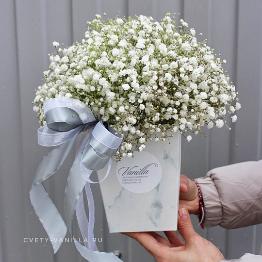 Трапеция с белой гипсофилой - изображение 2