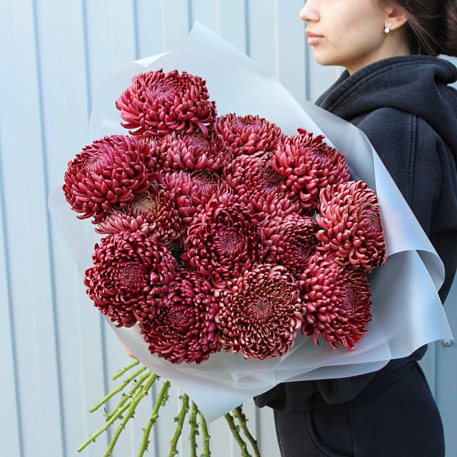 Букет из 15 шоколадных хризантем Бигуди - изображение 2