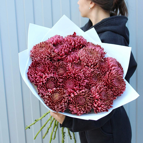 Букет из 19 шоколадных хризантем Бигуди - изображение 2