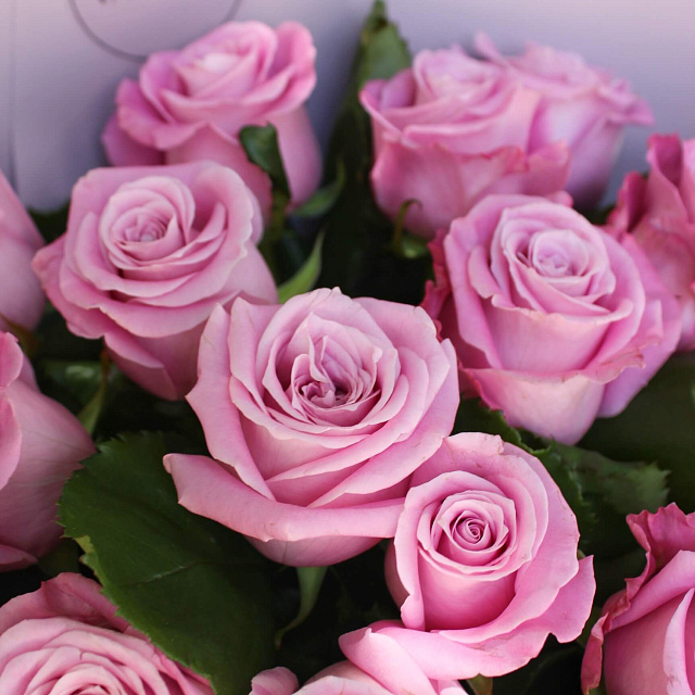 Букет из 15 роз: Букет из 15 роз Маритим 50 см