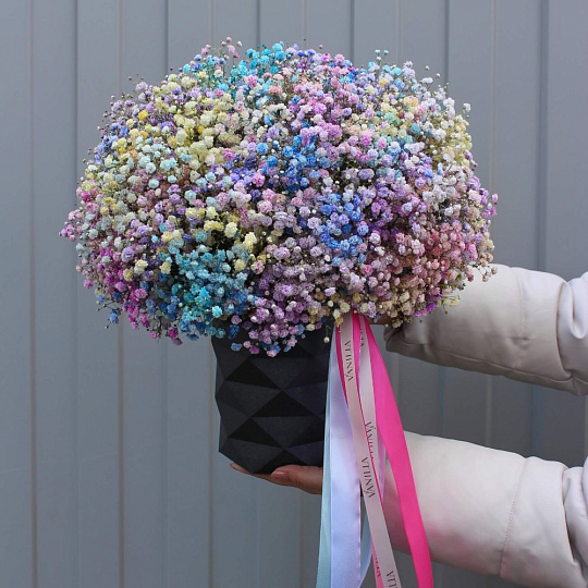 Цветная гипсофила в боксе - изображение 2