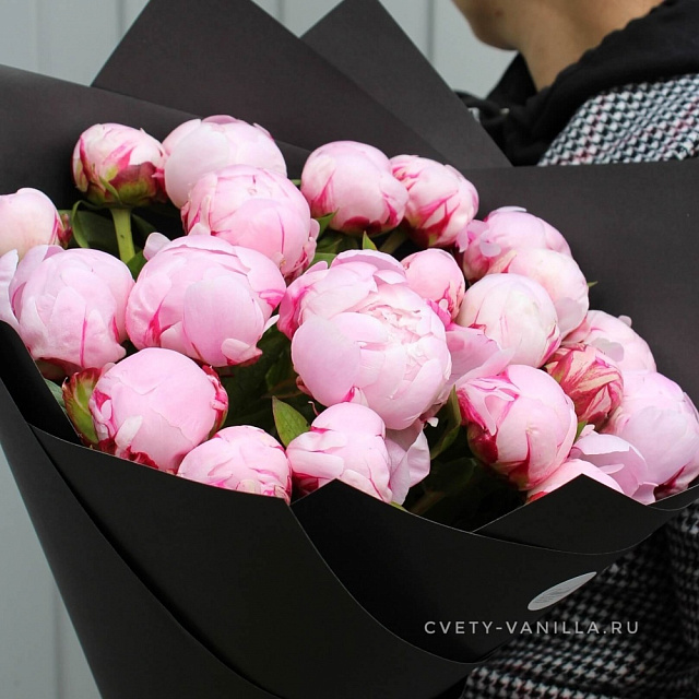 Цветы: Розовые пионы в стильном оформлении