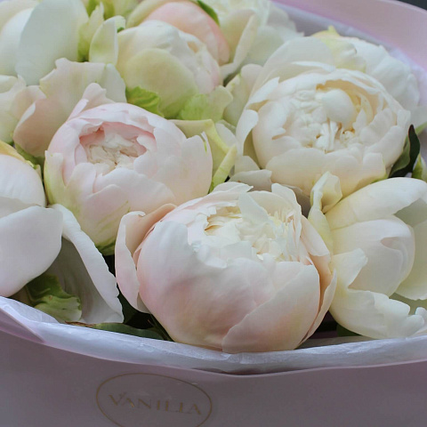 Букеты пионов: Букет из 15 пионов «Forever»