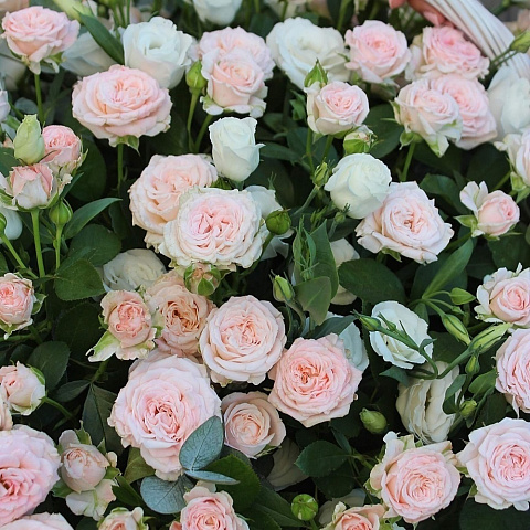 Цветы премиум-класса: Корзина с пионовидной розой и эустомой