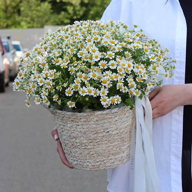 композиция во флористической губке