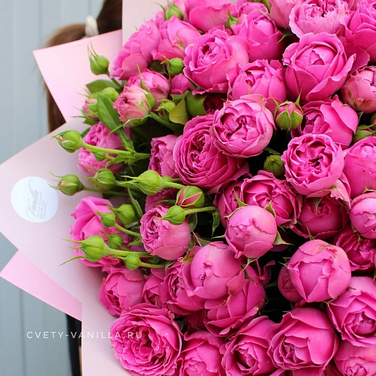 Цветы на 14 февраля: 29 веток кустовой пионовидной розы