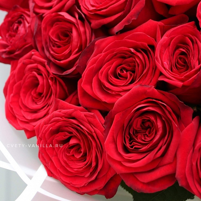 Большие букеты: Букет из 51 длинной розы 80 см