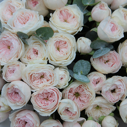 Кремовые розы: Букет с кустовыми розами