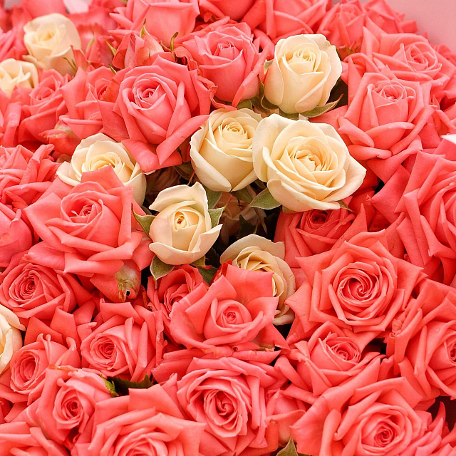 29 роз: 29 веток кустовой розы микс 50 см