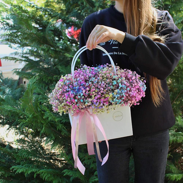 Радужная гипсофила в сумочке - изображение 2