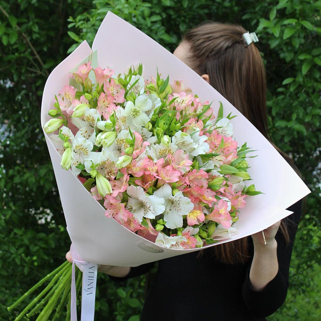 Альстромерии микс - изображение 2