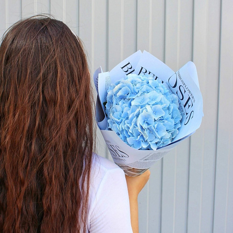 Маленькие букеты: Яркая гортензия