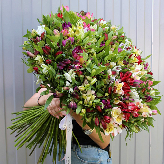 101 ветка альстромерии