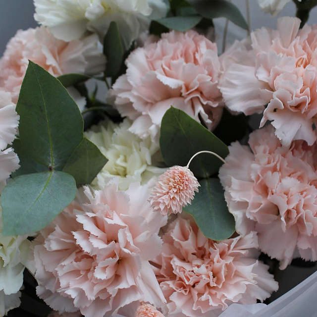 Цветы: Букет из диантусов "Персиковый Джем"