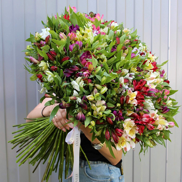 Цветы на праздник: 101 ветка альстромерии