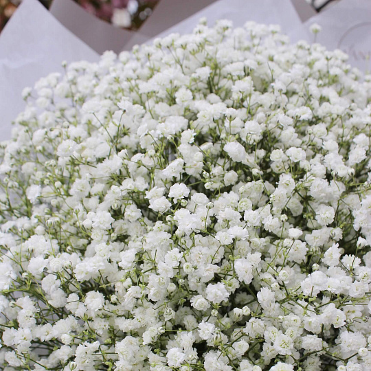 Букеты гипсофилов: Нежный букет из 15 веток гипсофилы в белом оформлении
